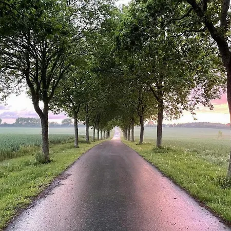Tatil Evi Lovely Rural Idyll In Near Nature Haderslev