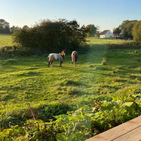 Tatil Evi Lovely Rural Idyll In Near Nature Haderslev