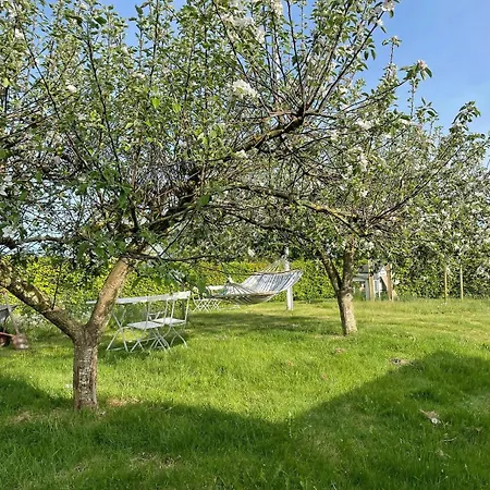 Tatil Evi Lovely Rural Idyll In Near Nature